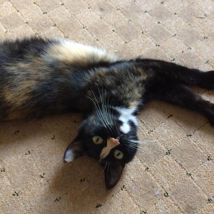 20F967D6-18CE-49D4-8CDA-2BA90B2140CD